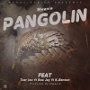 Pangolin  